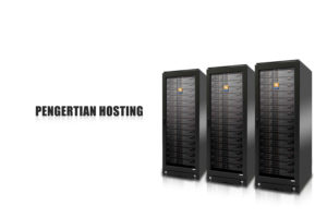 pengertian hosting